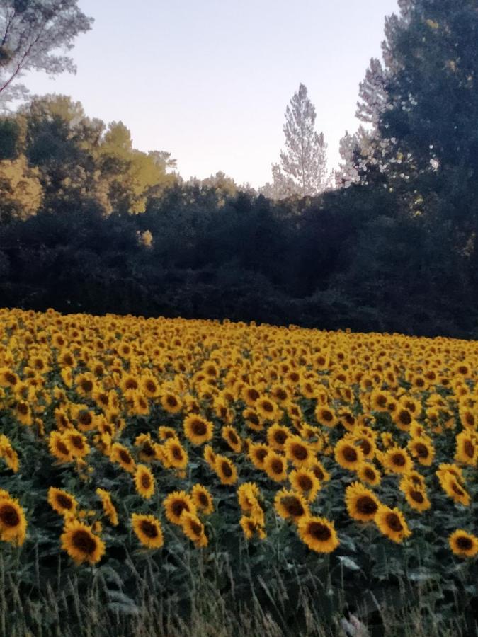 Hotel Rural El Cielo Entejado Dış mekan fotoğraf